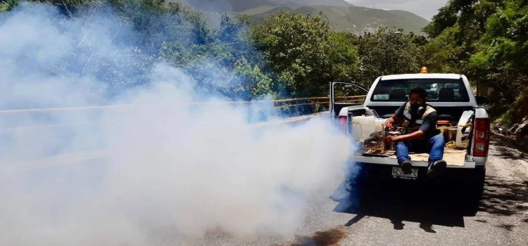 El Dengue ya es un problema para el sector salud