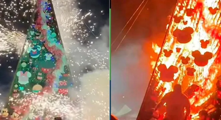 Literal, acudieron al encendido del árbol navideño