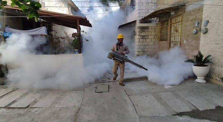 En temporada de lluvias; el dengue será un grave problema