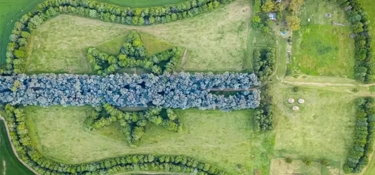 Creó un bosque con forma de guitarra en memoria de su esposa