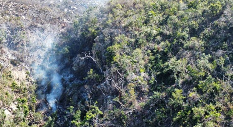 Controlan incendio forestal en la colonia Jardín