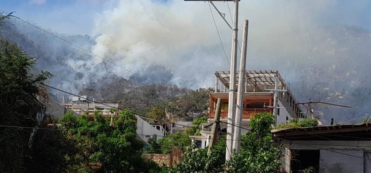 Controlan incendio forestal