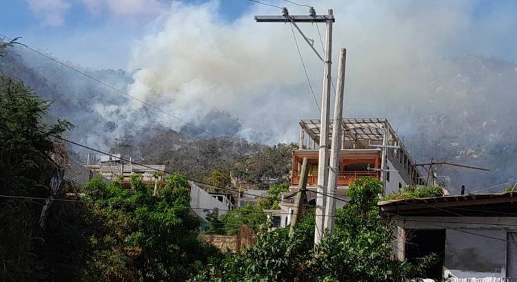 Controlan incendio forestal