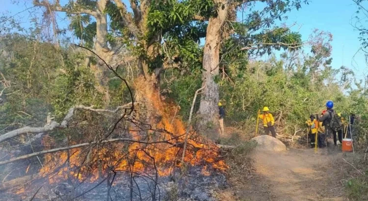 Son dos incendios forestales que afectan al puerto de Acapulco