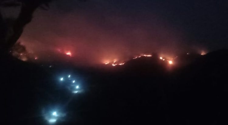 Cabañas son consumidas por el incendio en Chilpancingo