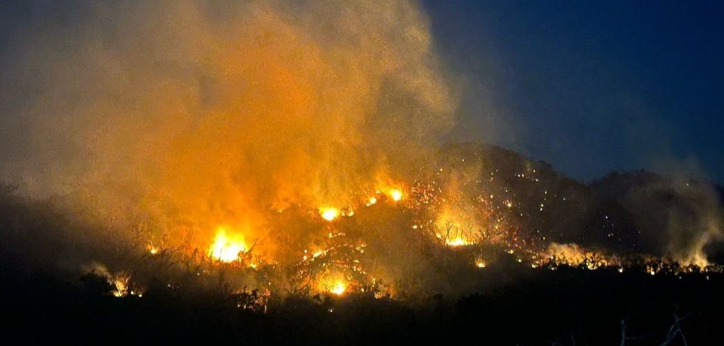 Reportan 4 incendios forestales activos en Acapulco y Chilpancingo