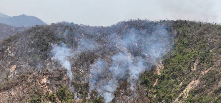 Se reactiva el incendio forestal en El Veladero