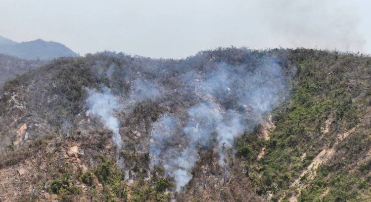 Se reactiva el incendio forestal en El Veladero