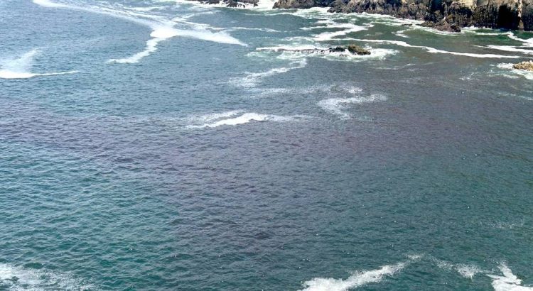 Llega Marea Roja a playas de Acapulco