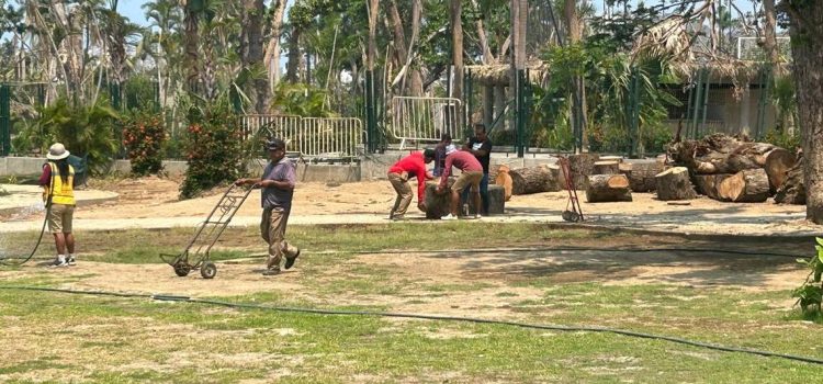 Comienzan los trabajos de reforestación del parque Papagayo