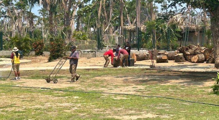 Comienzan los trabajos de reforestación del parque Papagayo