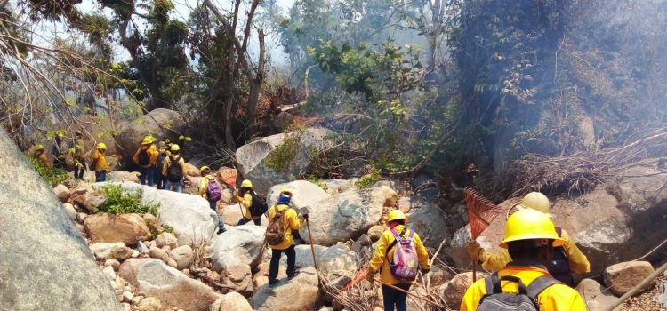 Sofocan el incendio en el Parque Nacional El Veladero