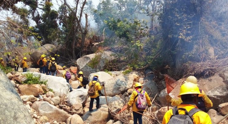 Sofocan el incendio en el Parque Nacional El Veladero