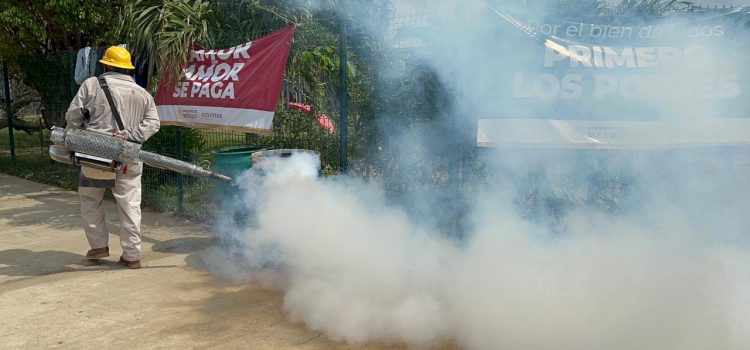 Suman 13 muertes por dengue en Acapulco