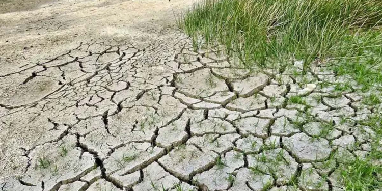 Alerta por sequía: Aumentó a 89 % la superficie de México afectada por la falta de lluvia