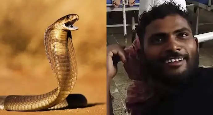 Un hombre en India responde a mordida de serpiente… ¡mordiéndola de vuelta!