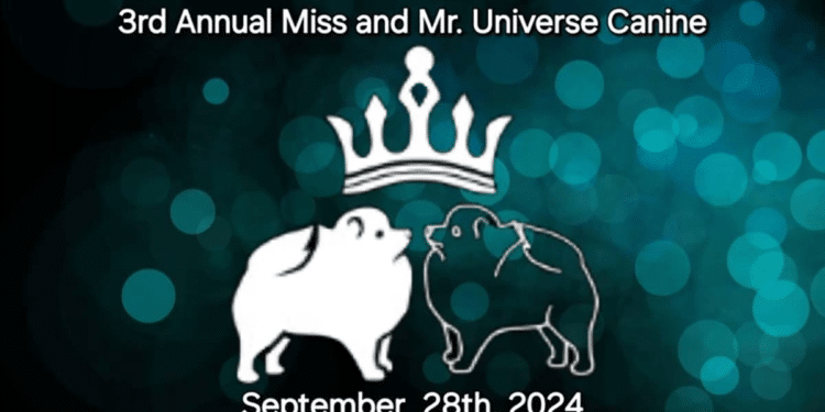 El último ladrido de la moda: Todo listo para el Miss y Mr. Universo Canino 2024