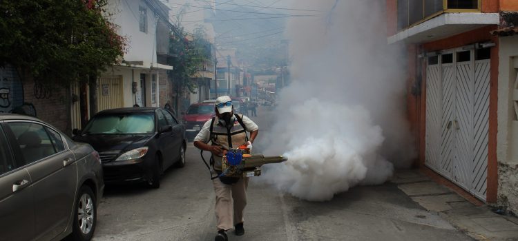 Refuerzan acciones contra el dengue