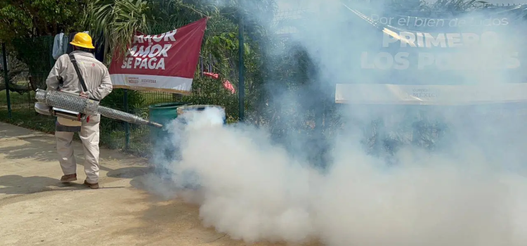 Se suman dos muertes más por dengue