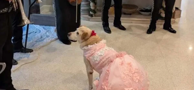 La quinceañera más bonita