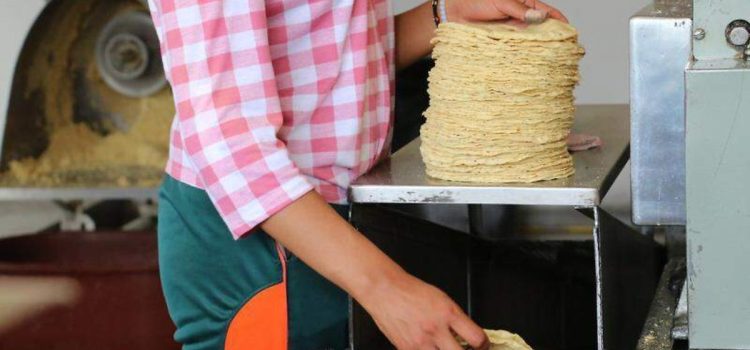 No habrá aumento al precio del kilogramo de tortilla