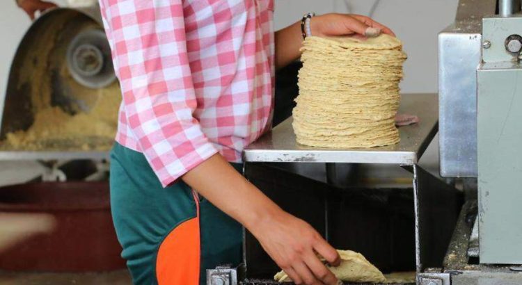 No habrá aumento al precio del kilogramo de tortilla