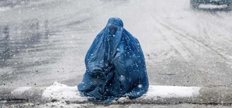 Talibanes prohíben las ventanas… para impedir que vean a las mujeres en casa