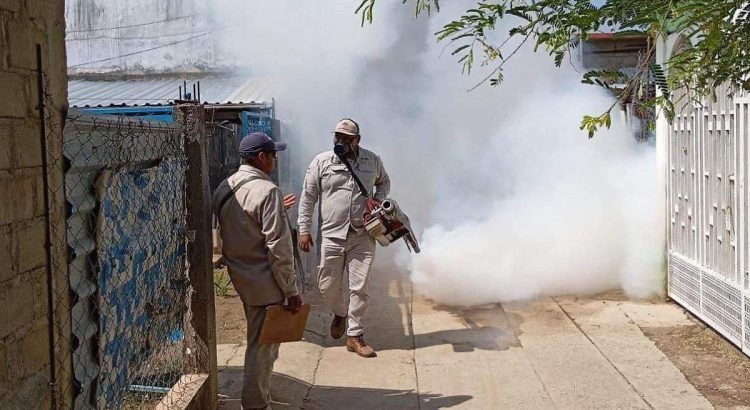 Reportan disminución del 90% del dengue en Guerrero