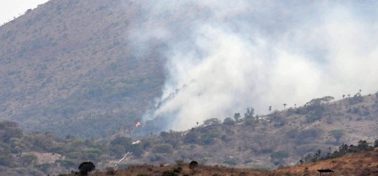 Se registran los primeros incendios forestales