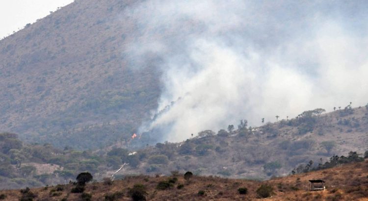 Se registran los primeros incendios forestales