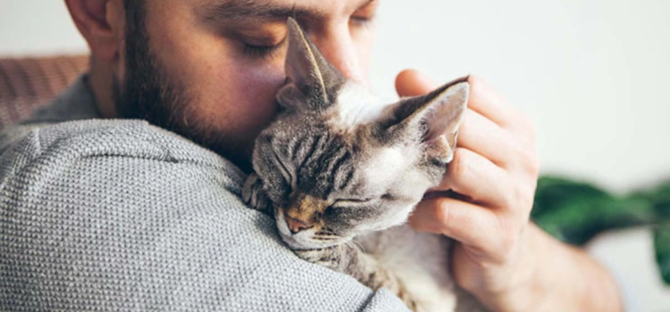 Mujer demandó a su marido por crueldad… prefería al gato que a ella